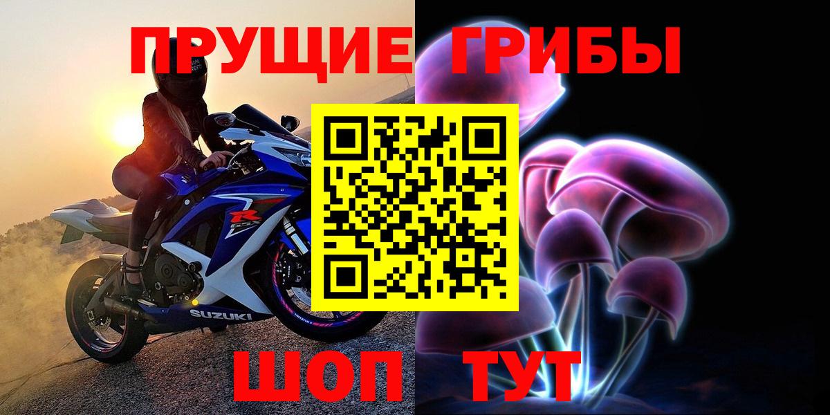 купить  цена  Псилоцибиновые грибы GOLDEN TEACHER  Вход с VPN  Полысаево 
